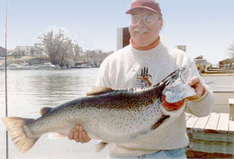 Brown Trout caught on Lake Michigan from Manistee, Michigan