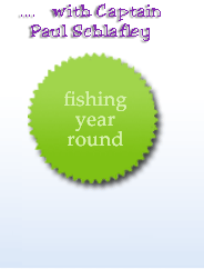 Fishing Year Round