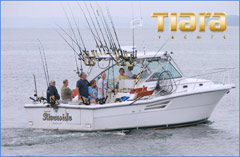 34' Tiara
